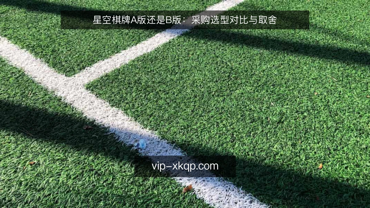 星空棋牌A版还是B版：采购选型对比与取舍