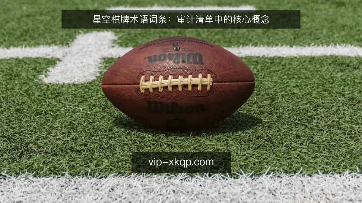 星空棋牌术语词条：审计清单中的核心概念