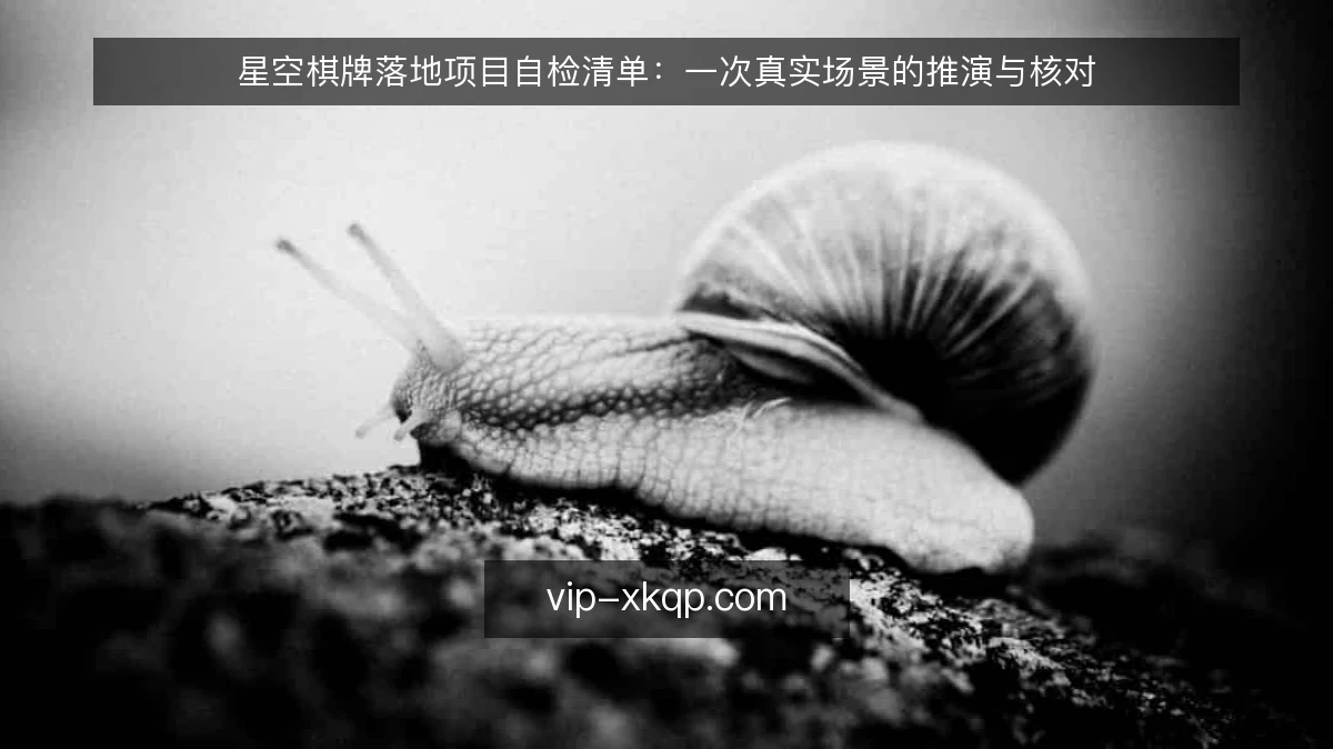 星空棋牌落地项目自检清单：一次真实场景的推演与核对
